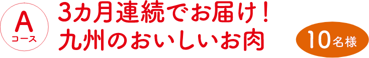 Aコース：3ヶ月連続でお届け！九州のおいしいお肉（10名様）