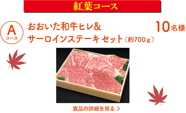 [紅葉コース]Aコース：おおいた和牛ヒレ＆サーロインステーキセット(約700g)（10名様）詳細を見る