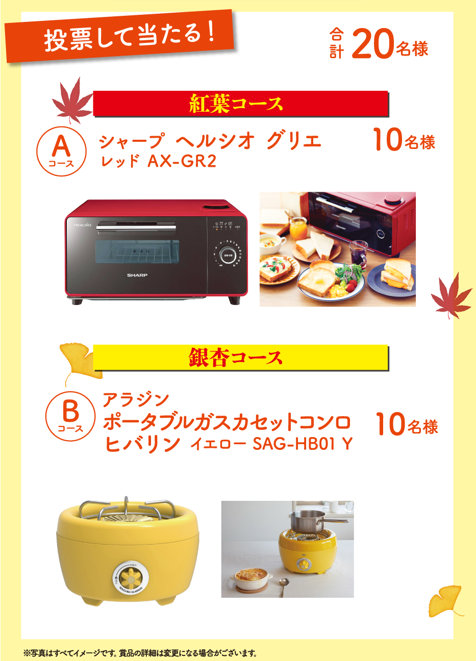 投票して当たる！合計20名様