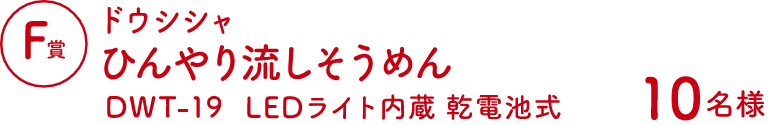 Fコース:ドウシシャひんやり流しそうめん DWT-19LEDライト内蔵乾電池式(10名様)