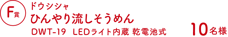 Fコース：ドウシシャひんやり流しそうめん DWT-19LEDライト内蔵乾電池式（10名様）