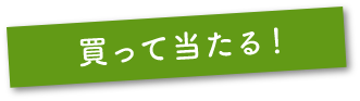 買って当たる！