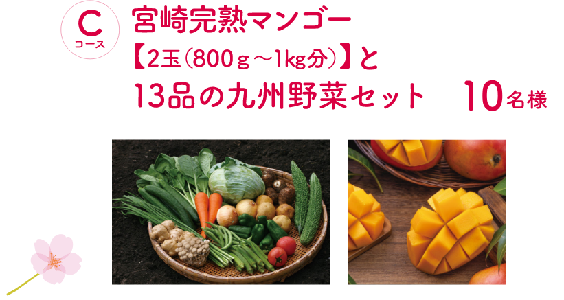 Cコース：宮崎完熟マンゴー、13品の九州野菜セット（10名様）