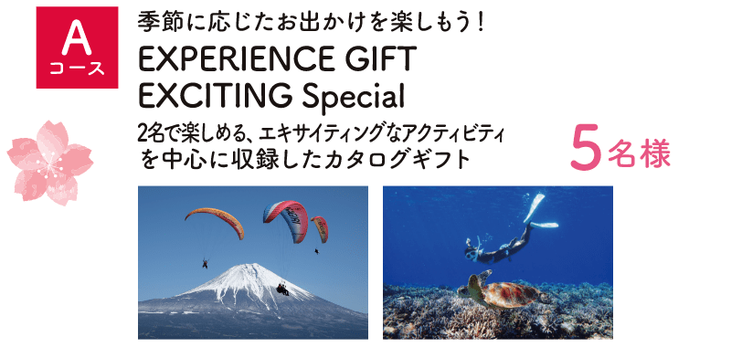 Aコース：EXPERIENCE GIFT EXCITING Special（5名様）