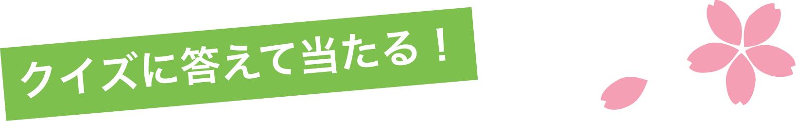 クイズに答えて当たる！抽選で5名様
