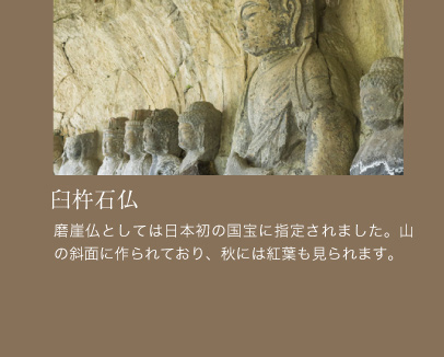 臼杵石仏。磨崖仏としては日本初の国宝に指定されました。山の斜面に作られており、秋には紅葉も見られます。