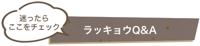 迷ったら ここをチェック ラッキョウQ&A